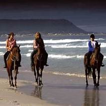 The Dunes Horse Rides